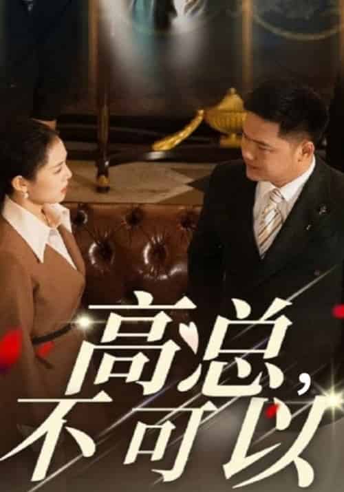 高总,不可以(45集全)高天武&白知微-初遇资源网