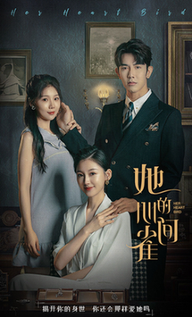 她的心间雀（30集全）马星烁-初遇资源网