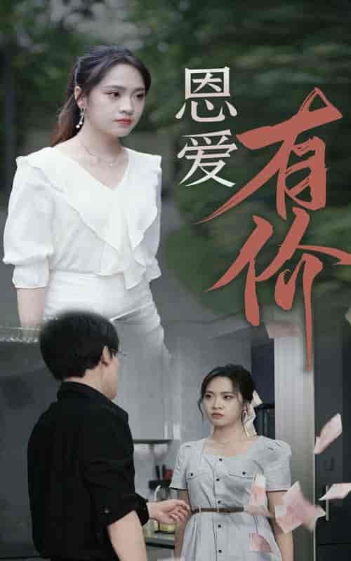 恩爱有价（31集）-初遇资源网