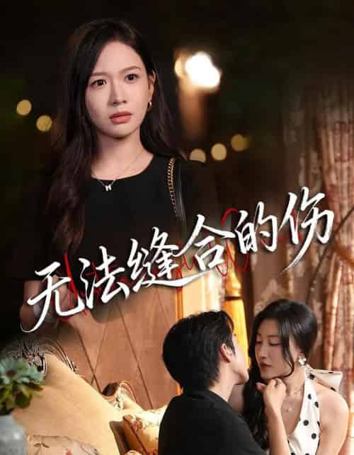 无法缝合的伤(45集全)王琳惠&天天-初遇资源网