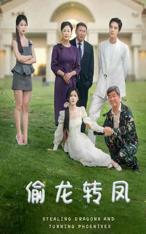 偷龙转凤（80集）-初遇资源网