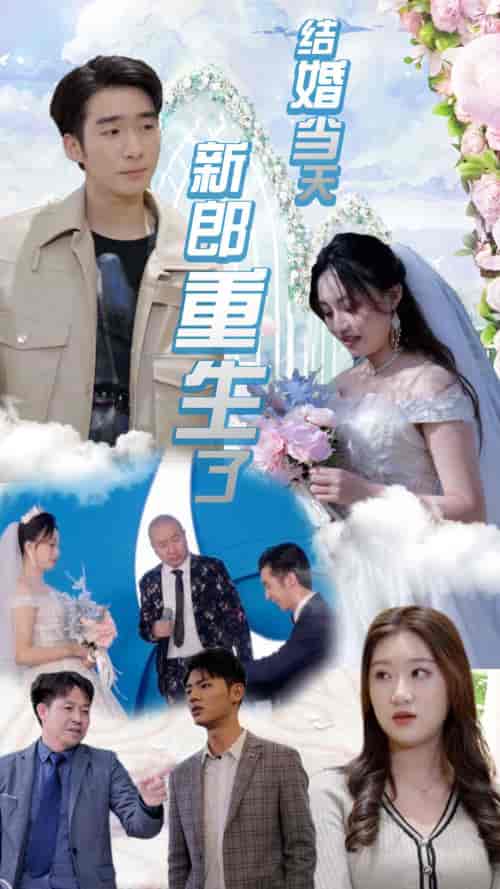 结婚当天新郎重生了＆结婚一百零一次（101集）-初遇资源网