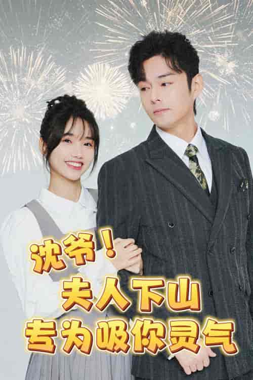 沈爷!夫人下山专为吸你灵气(80集)-初遇资源网