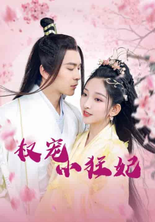 权宠小狂妃(32集全)八王爷&段璎珞-初遇资源网