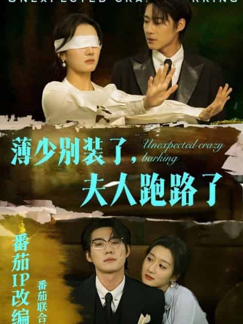 薄少别装了夫人跑路了(60集全)赵振栋&柳卓青-初遇资源网