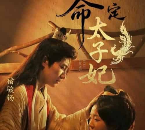命定太子妃(63集)褚骏钖&李海蒂-初遇资源网