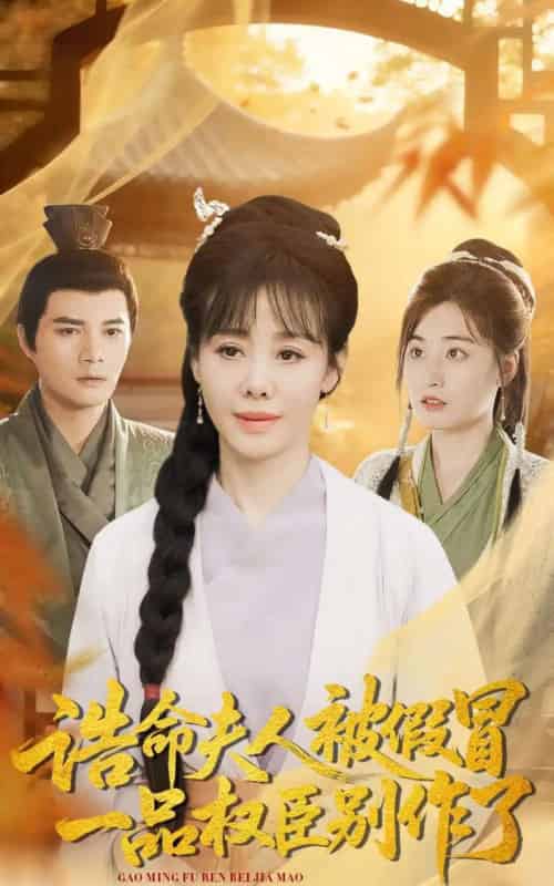 诰命夫人被假冒，一品权臣别作了（98集全）王铮＆黄骞-初遇资源网