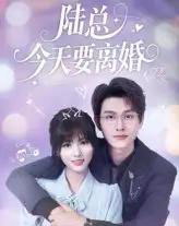 陆总今天要离婚（81集）陈凯洲＆李泫逸-初遇资源网