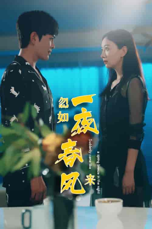 忽如一夜春风来(28集)徐江帅-初遇资源网