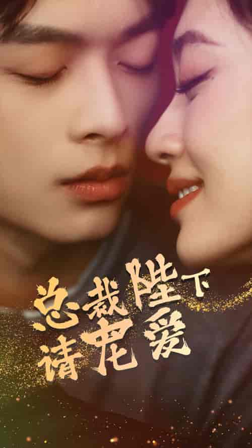 总裁陛下请宠爱（96集）-初遇资源网