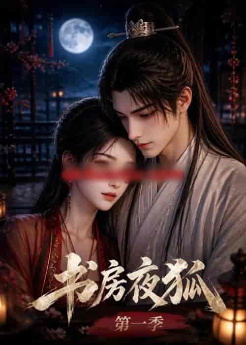 书房夜狐第一季 书房夜狐第一季