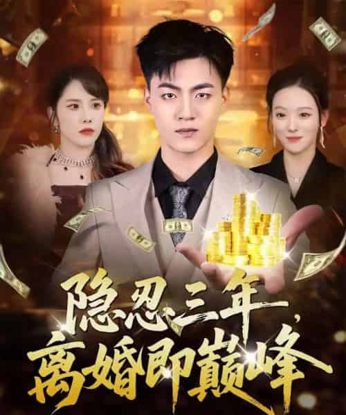 隐忍三年，离婚即巅峰（50集全）王三北＆艾江山-初遇资源网