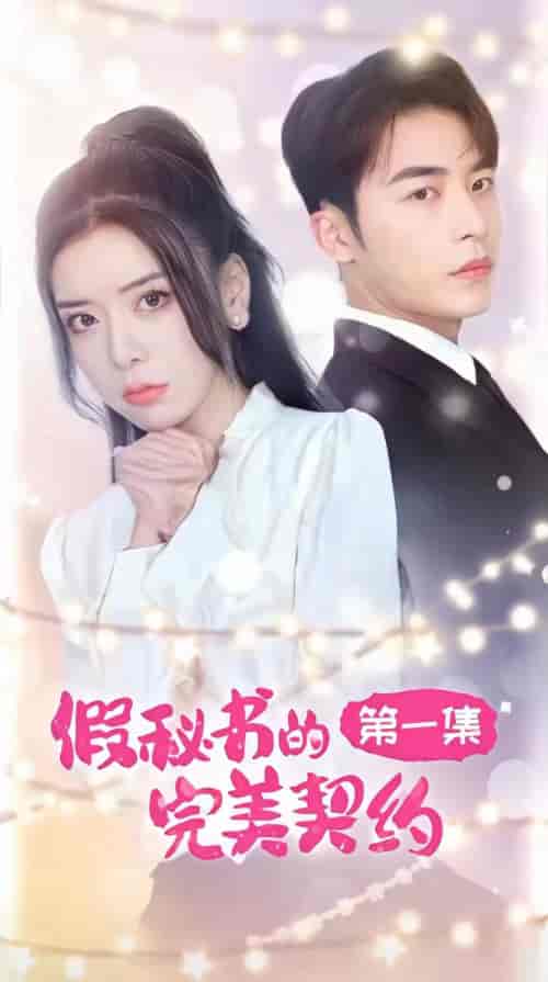 假秘书的完美契约（92集）-初遇资源网