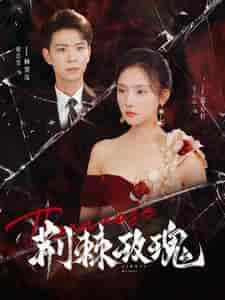 荆棘玫瑰（100集）-初遇资源网