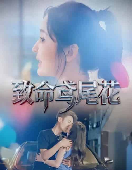 致命鸢尾花(60集全)娜吉玛&郑天龙-初遇资源网