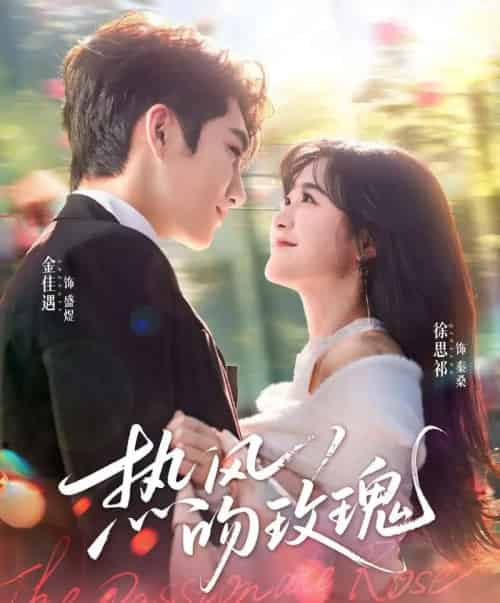 热风吻玫瑰(66集全)金佳遇&徐思祁-初遇资源网