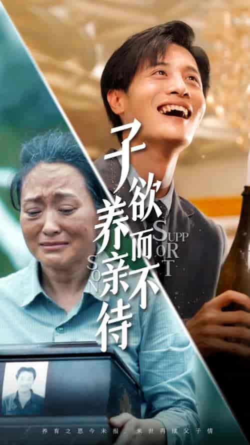 子欲养而亲不待（42集）-初遇资源网