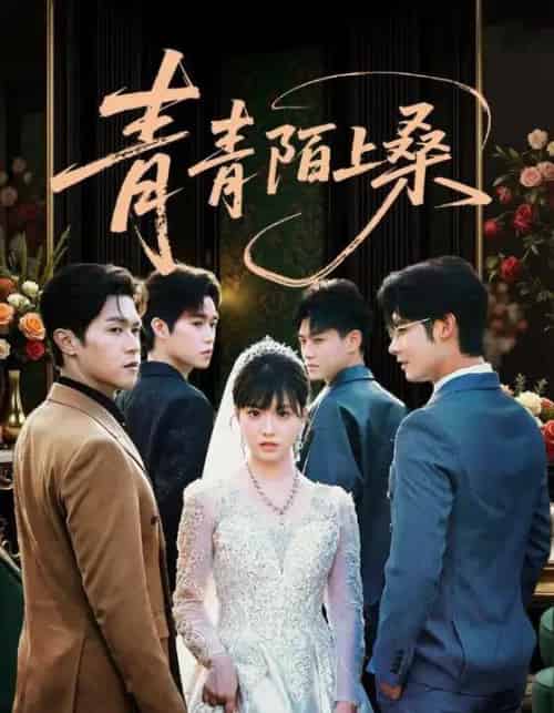 青青陌上桑（70集）-初遇资源网