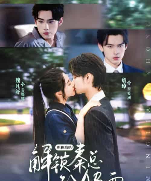 明撩暗哄解锁秦总的AB面（66集）詹琸＆魏凡舒-初遇资源网