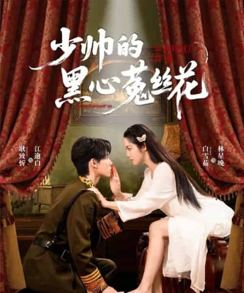 少帅的黑心菟丝花(60集)耿致忻&白雪茹-初遇资源网