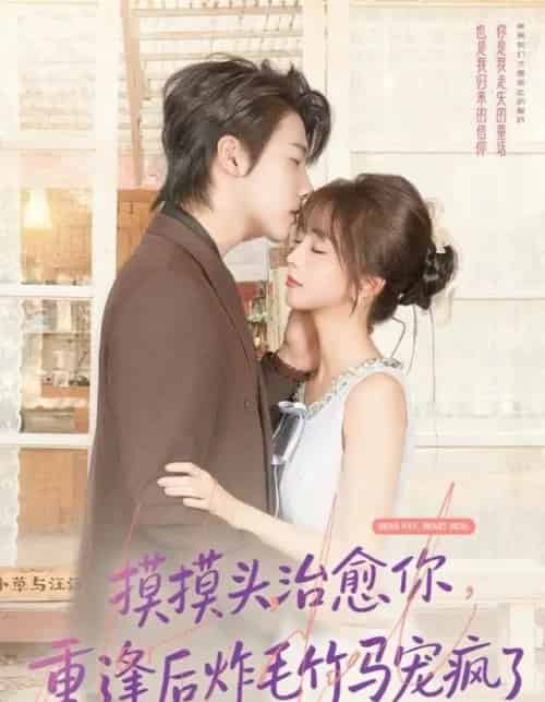 摸摸头，治愈你，重逢后炸毛竹马宠疯了（81集全）张韫韬＆蔡淼燕-初遇资源网
