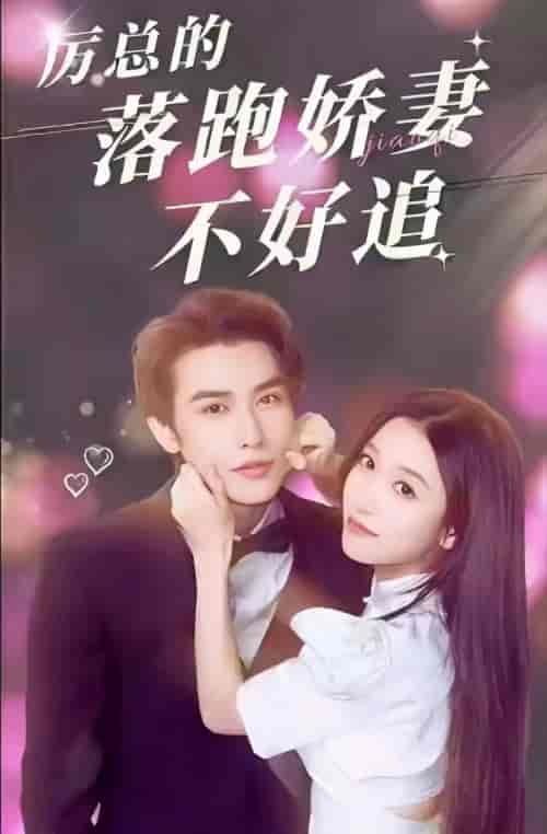 厉总的落跑娇妻不好追（72集）-初遇资源网