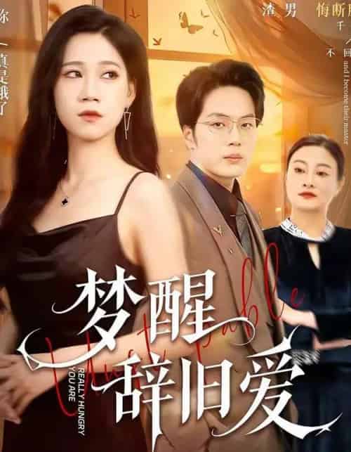 梦醒辞旧爱（55集全）陈七七＆关一夫-初遇资源网