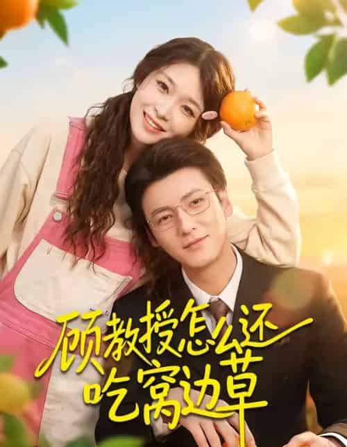 顾教授怎么还吃窝边草（60集全）吴恋融＆肖涵-初遇资源网