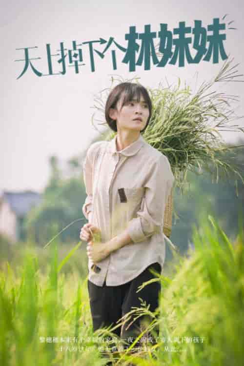 天上掉下个林妹妹（81集全）-初遇资源网