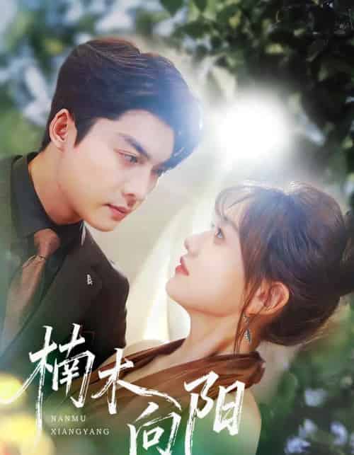 楠木向阳(70集全)方正男&仇乐瑶-初遇资源网