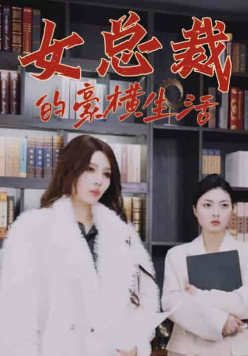 女总裁的豪横生活（100集全）唐轩＆盛夜岚-初遇资源网