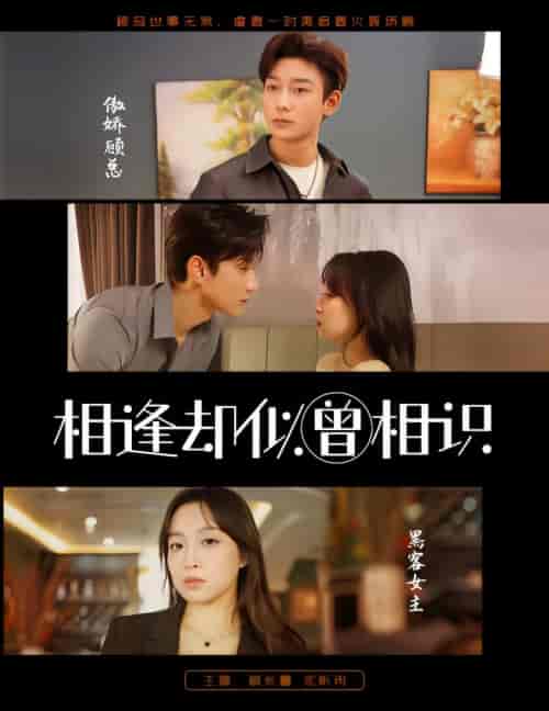 相逢却似曾相识（离婚后顾太太的马甲藏不住了）（79集）-初遇资源网