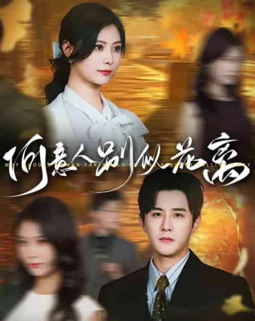 何意人别似花离(61集)伍中元&杨杨-初遇资源网