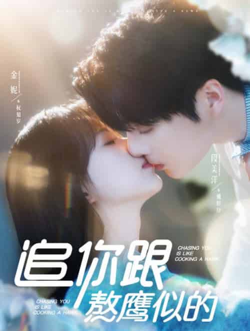 追你跟熬鹰似的（95集全）段美洋＆金妮-初遇资源网
