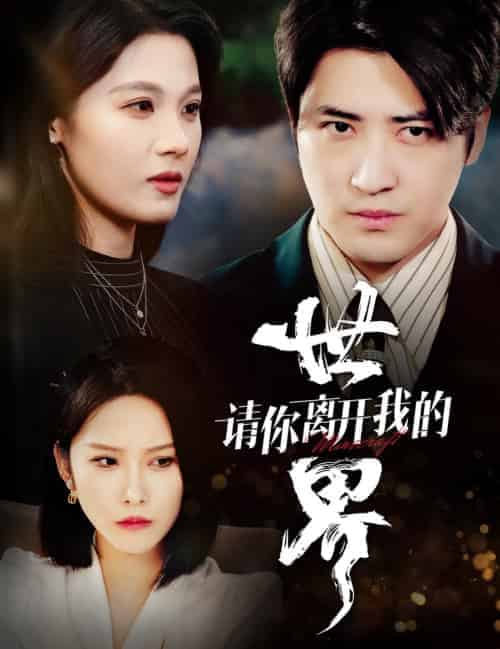 请你离开我的世界(37集全)-初遇资源网