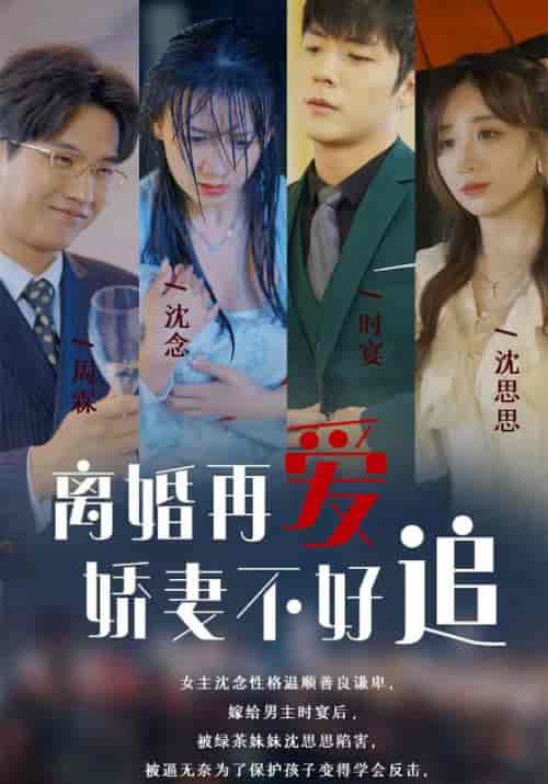 离婚再爱娇妻不好追（100集全）时宴＆沈念-初遇资源网