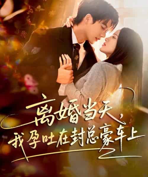 离婚当天，我孕吐在封总豪车上（77集全）吴宇航＆海星-初遇资源网