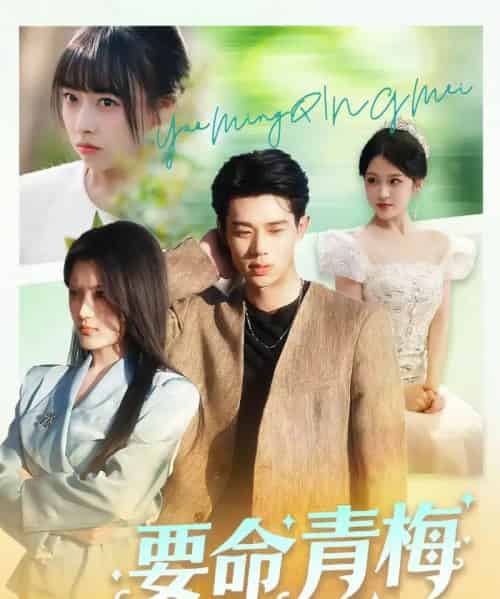 要命青梅(60集全)张凤鑫&刘艺乔-初遇资源网