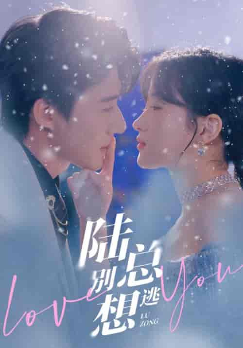 陆总别想逃（80集）-初遇资源网