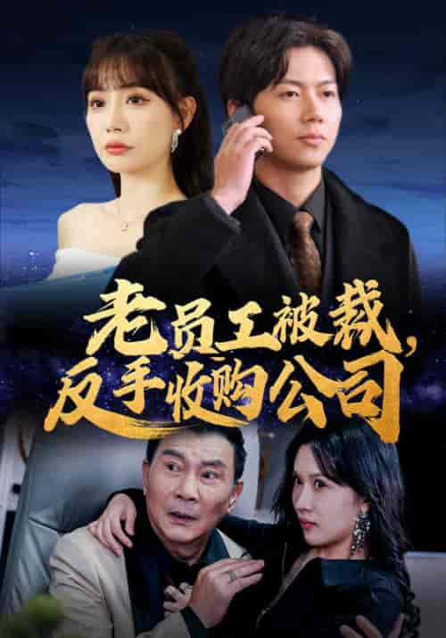 老员工被裁，反手收购公司（34集全）李广南＆孙珞璃-初遇资源网