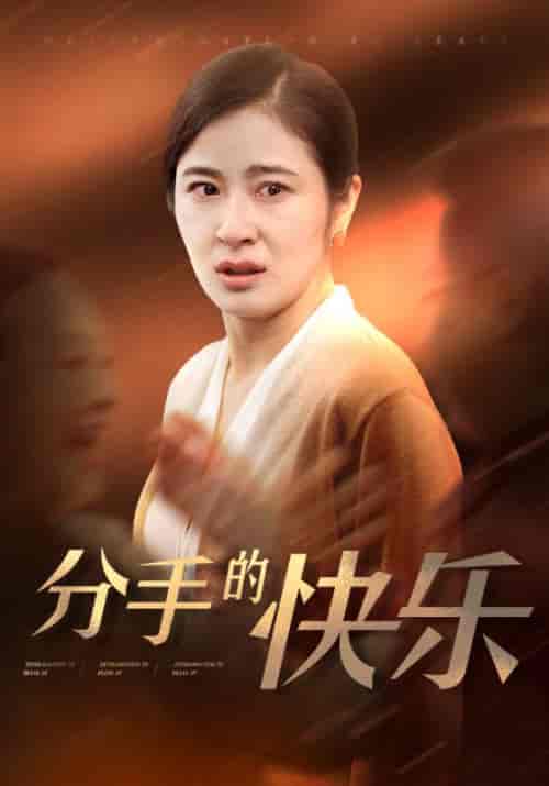 分手的快乐（66集全）钟北海＆何金玉-初遇资源网