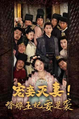 宠妾灭妻!替嫁王妃要逆袭(80集)-初遇资源网