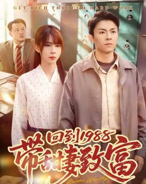 回到1988带甜妻致富(90集全)李秉润&王逸燕-初遇资源网