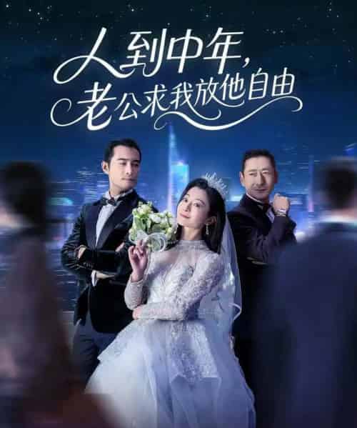 人到中年，老公求我放他自由（60集全）宁浩然＆李部-初遇资源网