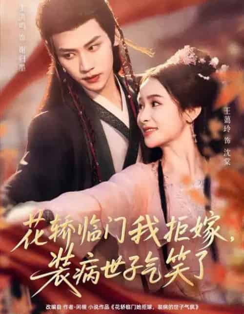 花轿临门我拒嫁,装病世子气笑了(107集全)张洪鸣&王蔼玲-初遇资源网