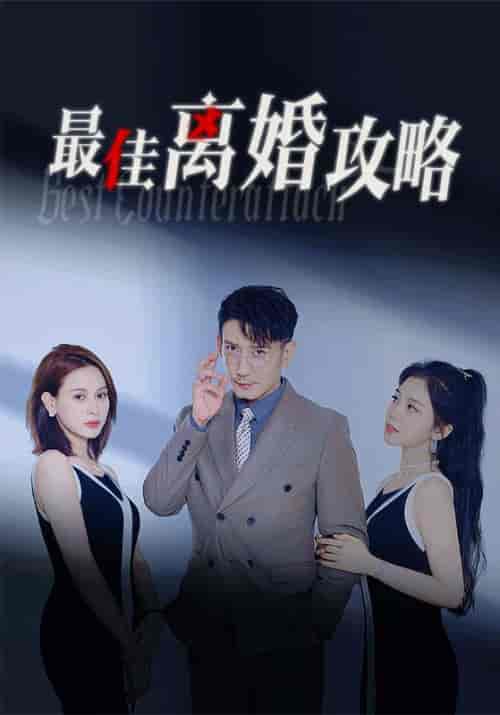 最佳离婚攻略(31集)沈政南&秦芯-初遇资源网
