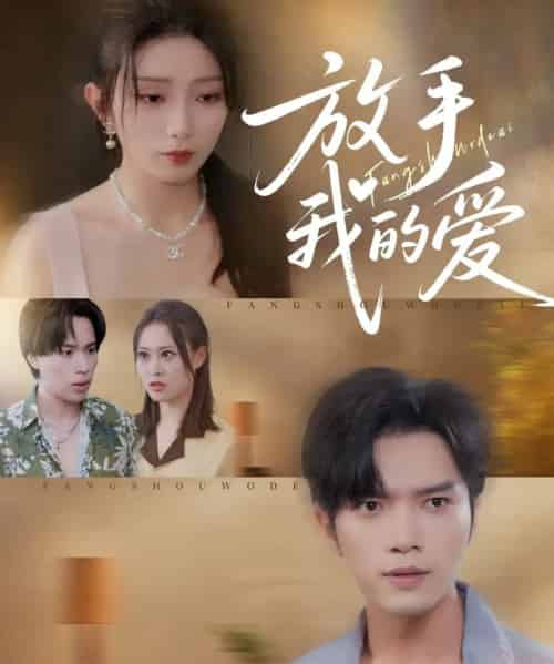 放手我的爱（47集全）史庭赫＆苗淼-初遇资源网