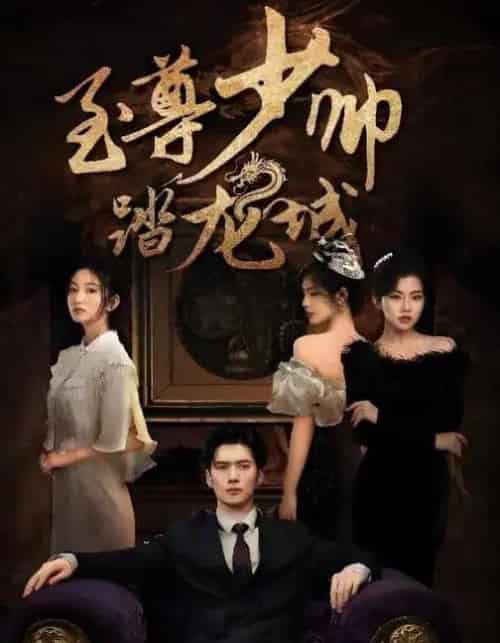 至尊少帅踏龙城（80集全）黎隐＆张晗-初遇资源网