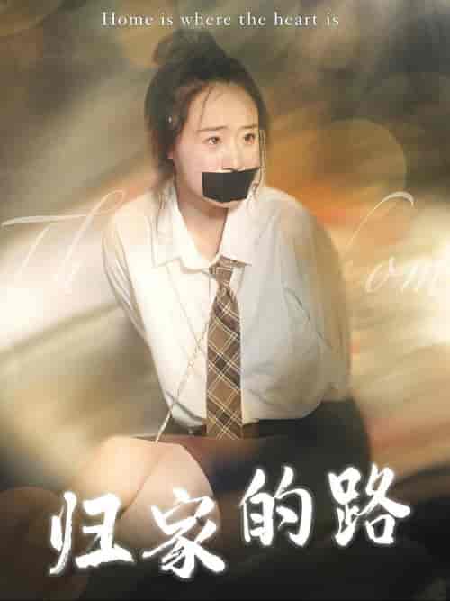 归家的路(80集全)-初遇资源网