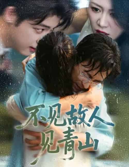 不见故人见青山&心约难守,余生不渡(91集全)将未&钟莹玲-初遇资源网